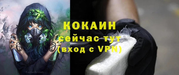 мяу мяу мука Приозерск