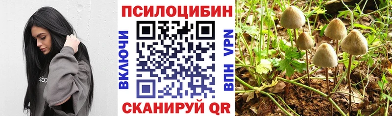 Галлюциногенные грибы мухоморы Заполярный